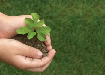 فعاليات و مبادرات بيئية