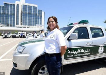 قوانين صارمة بحق المعتدين على البيئة: آليات الردع والمساءلة