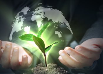 المنظمات والجمعيات الداعمة للبيئة: أدوارها، آليات عملها، وتأثيرها العالمي