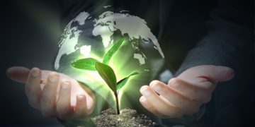 المنظمات والجمعيات الداعمة للبيئة: أدوارها، آليات عملها، وتأثيرها العالمي