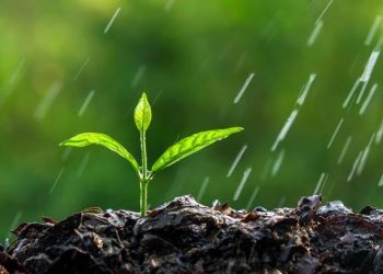 دور البرلمانات في الإدارة البيئية وفي مكافحة التدهور البيئي العالمي