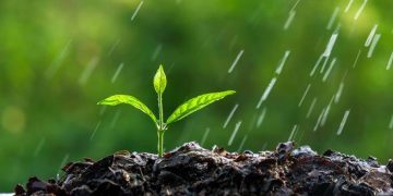 دور البرلمانات في الإدارة البيئية وفي مكافحة التدهور البيئي العالمي