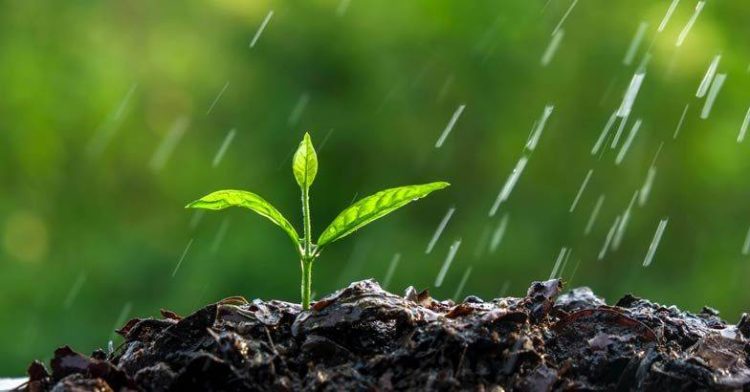 دور البرلمانات في الإدارة البيئية وفي مكافحة التدهور البيئي العالمي