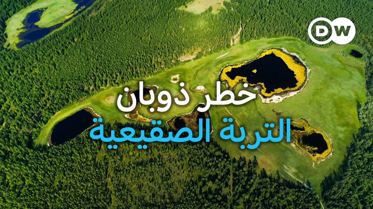 Documentary | Thawing Permafrost Bogs - How Can Nature Slow Down Climate Change? | DW Documentary